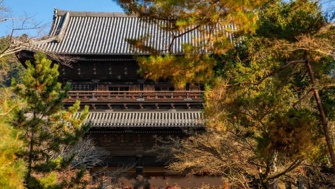 出国留学 留学机构 赴日本留学