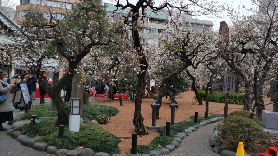 出国留学 留学机构 赴日本留学