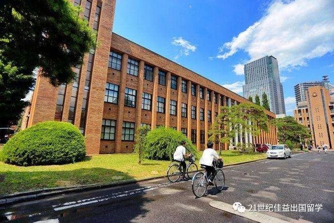出国留学咨询