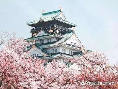 出国留学咨询