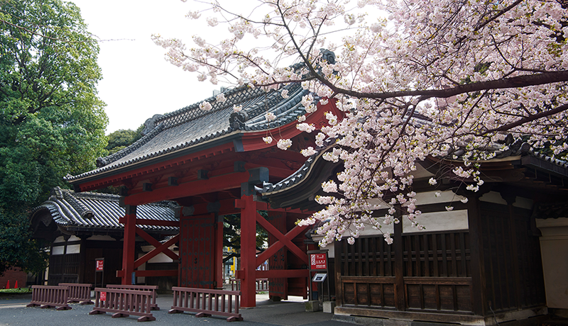 出国留学 日本留学