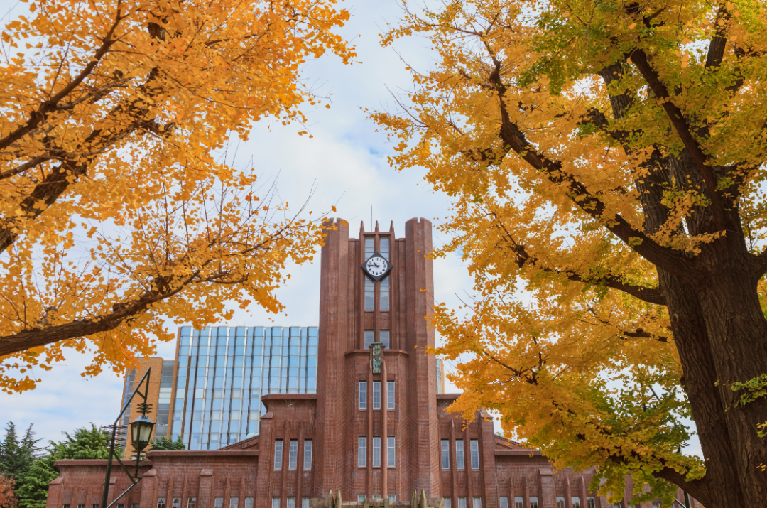 日本留学