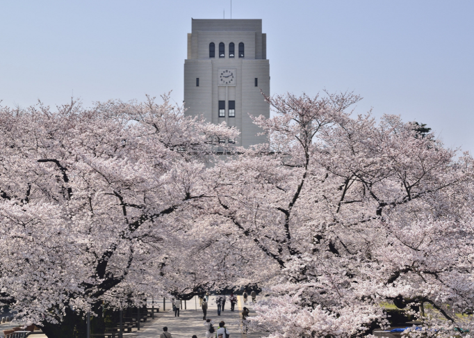 日本留学