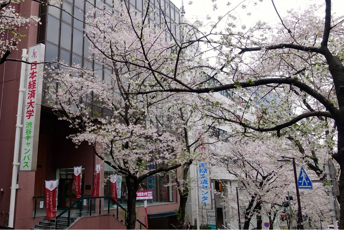 出国留学 日本留学 出国留学 日本留学