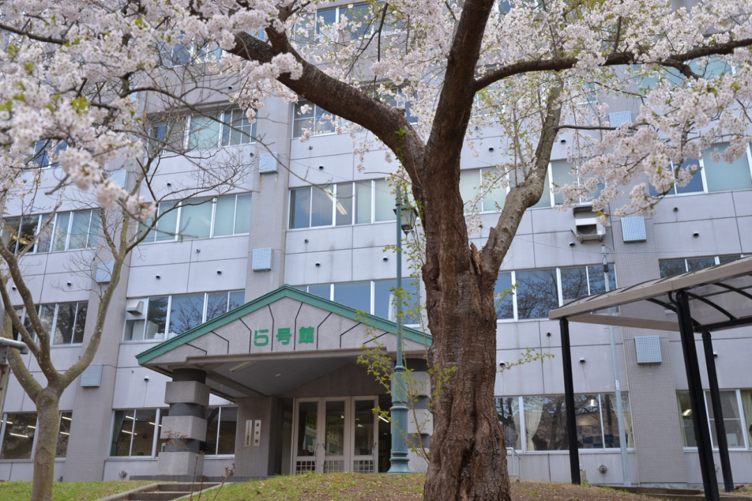 出国留学申请
