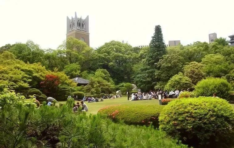 21世纪佳益出国留学 21世纪佳益出国留学