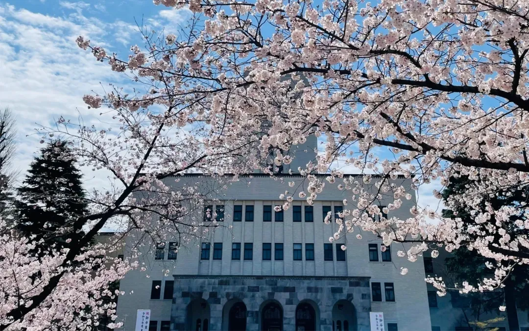 21世纪佳益出国留学 21世纪佳益出国留学