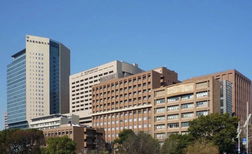 21世纪佳益出国留学 21世纪佳益出国留学