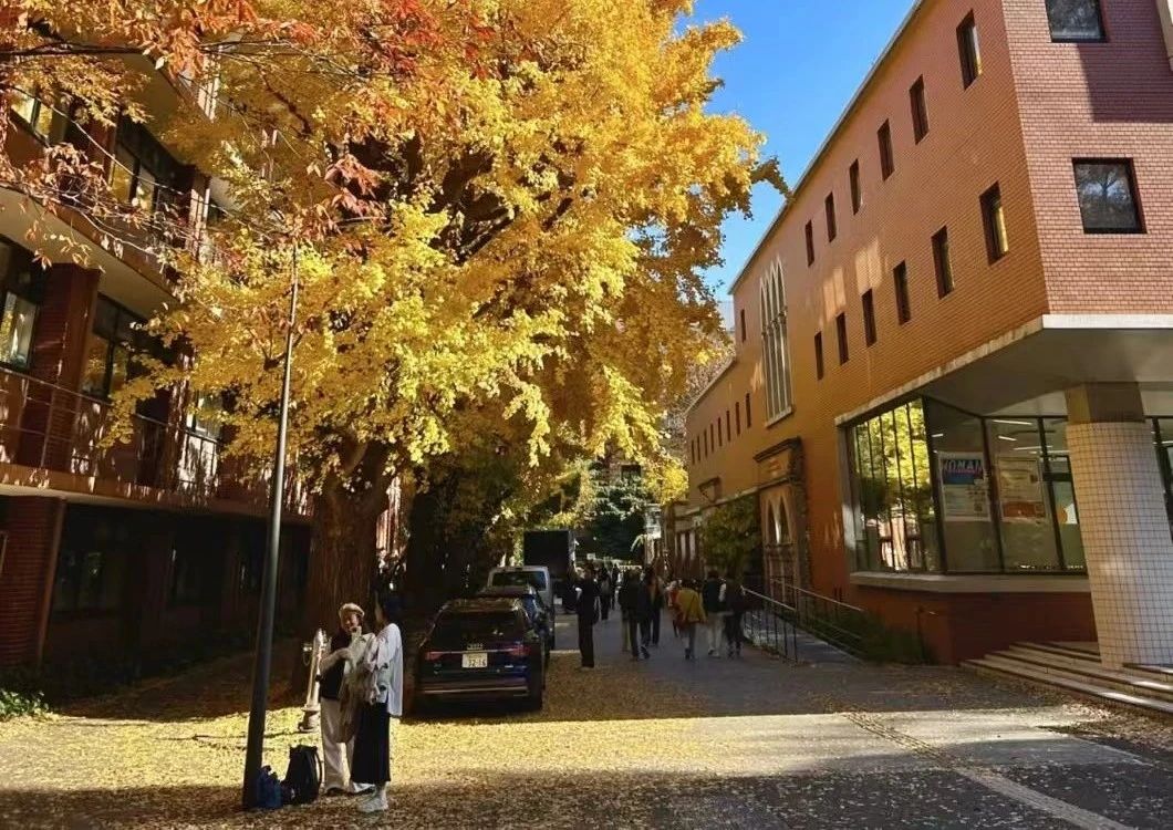 21世纪佳益出国留学