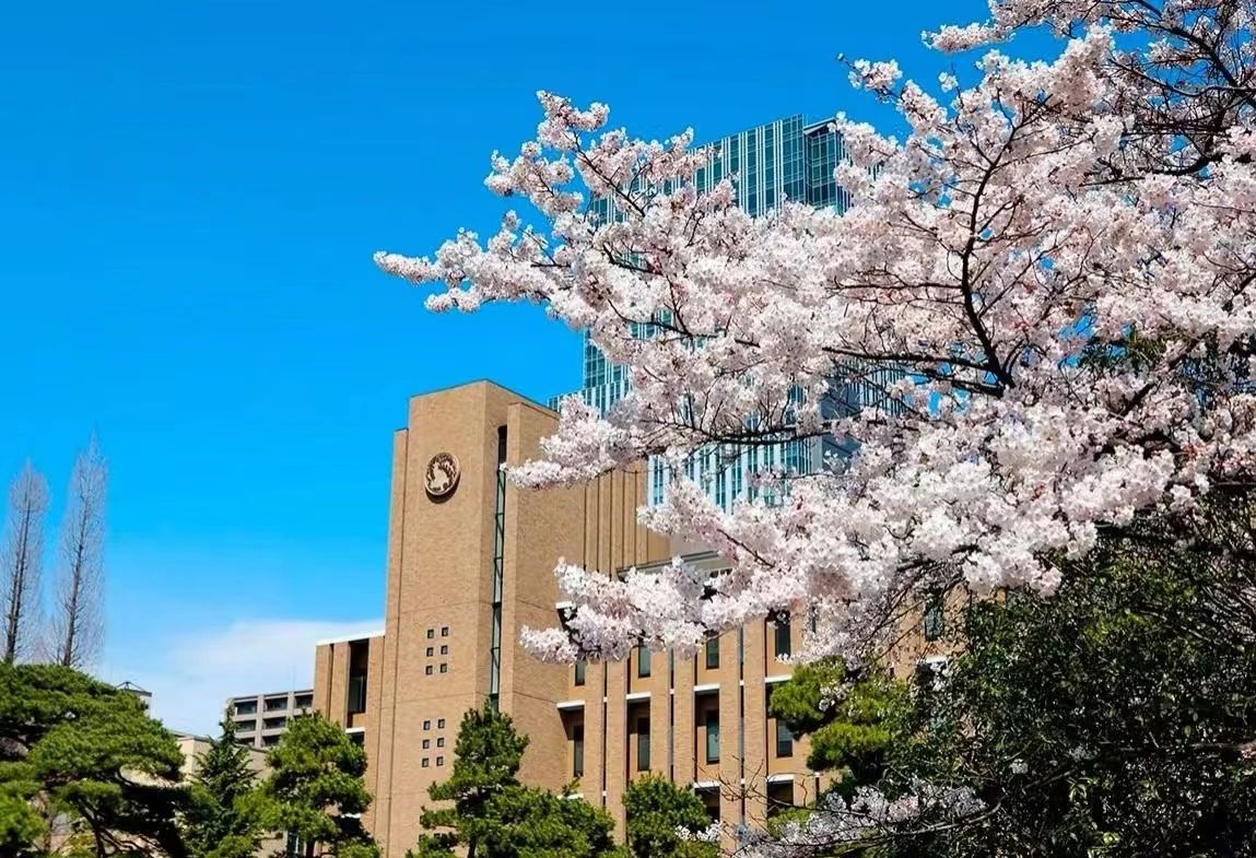 21世纪佳益出国留学