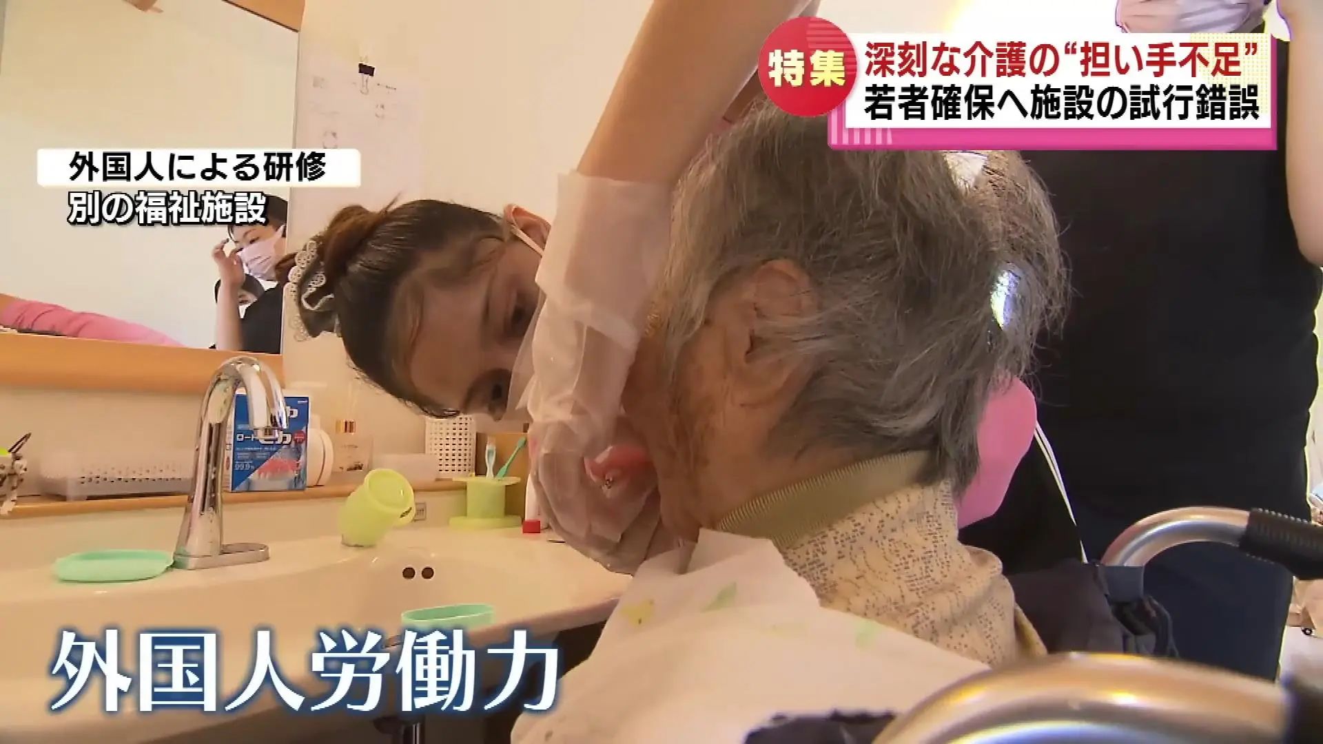 21世纪佳益出国留学 21世纪佳益出国留学