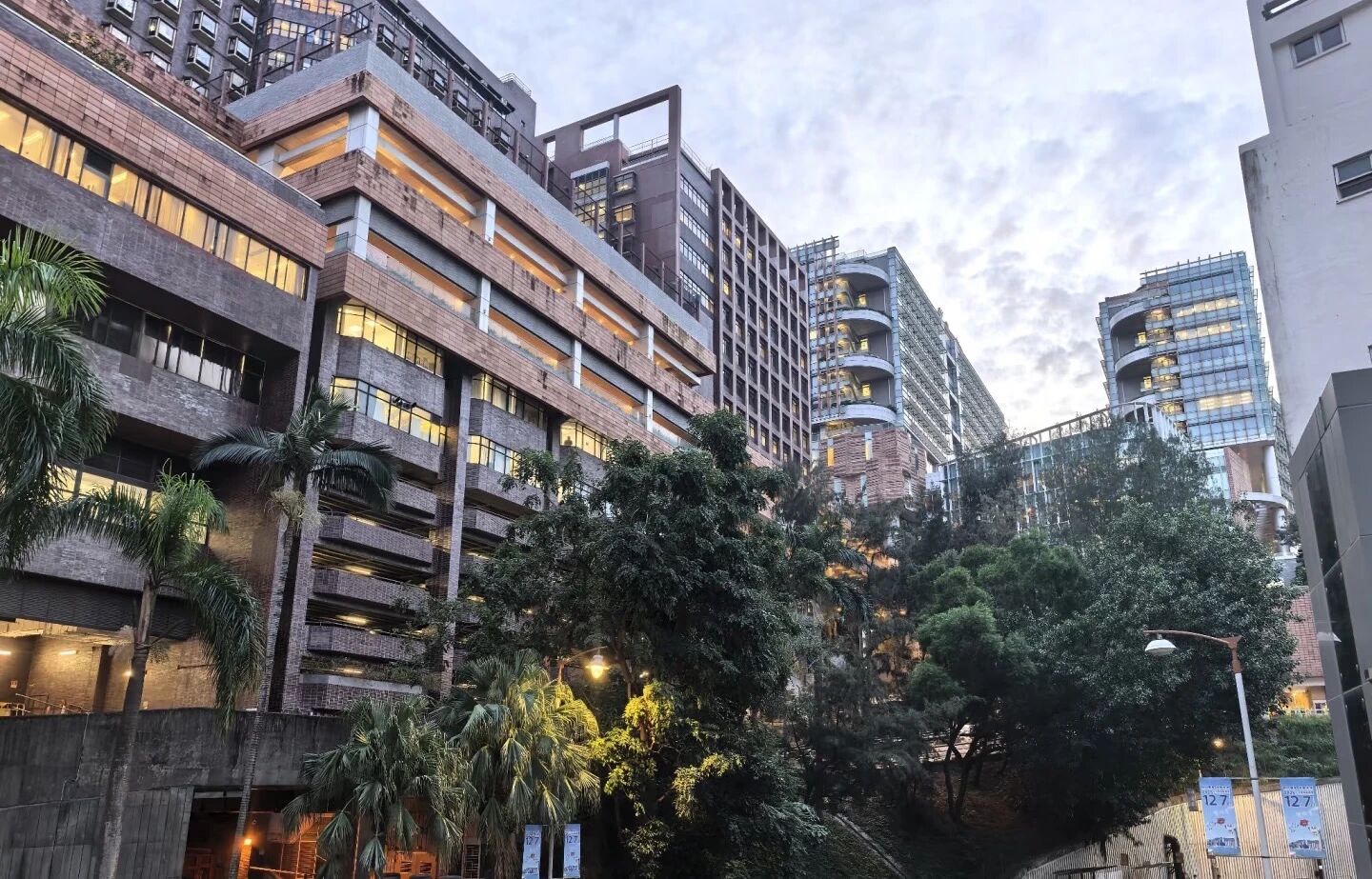 香港大学