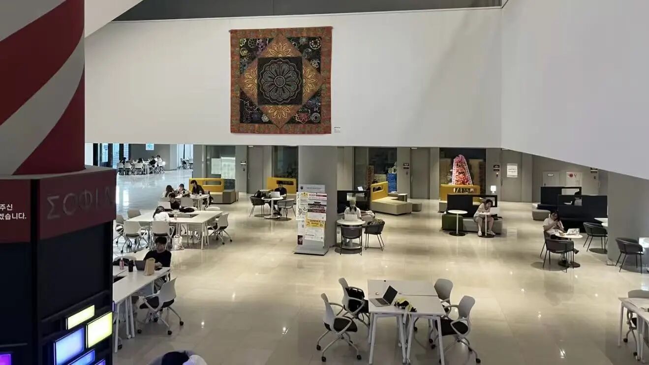 高丽大学 高丽大学