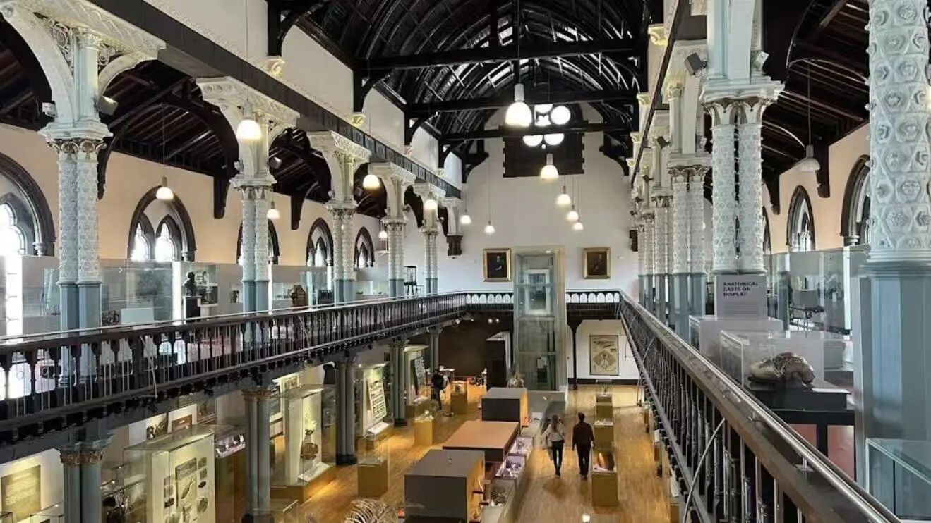 21世纪佳益出国留学