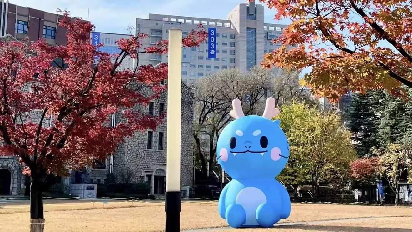 韩国中央大学 韩国中央大学