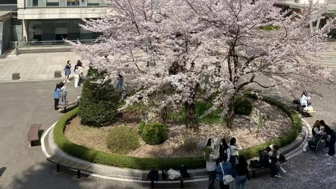 21世纪佳益出国留学