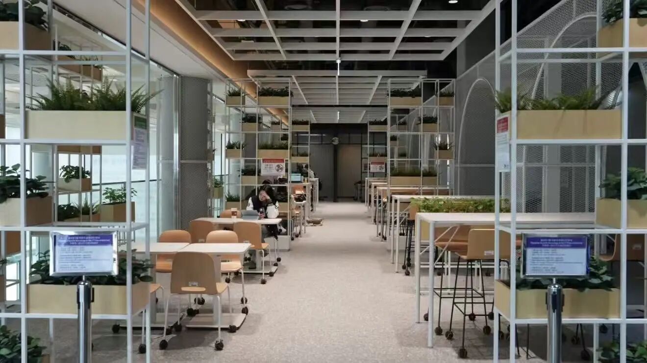 21世纪佳益出国留学