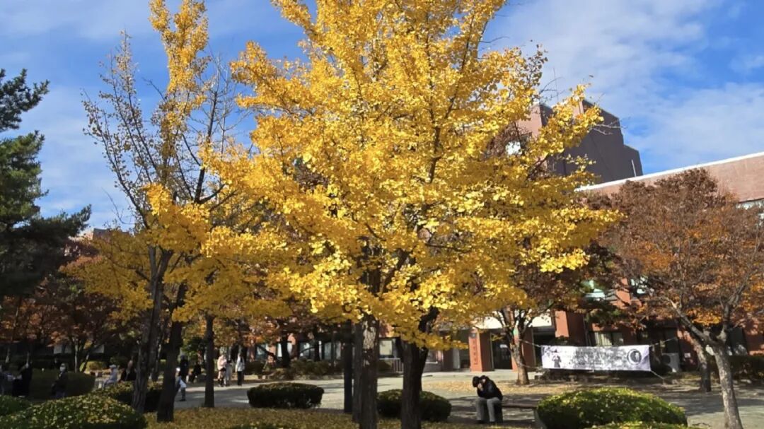 韩国蔚山大学 韩国蔚山大学