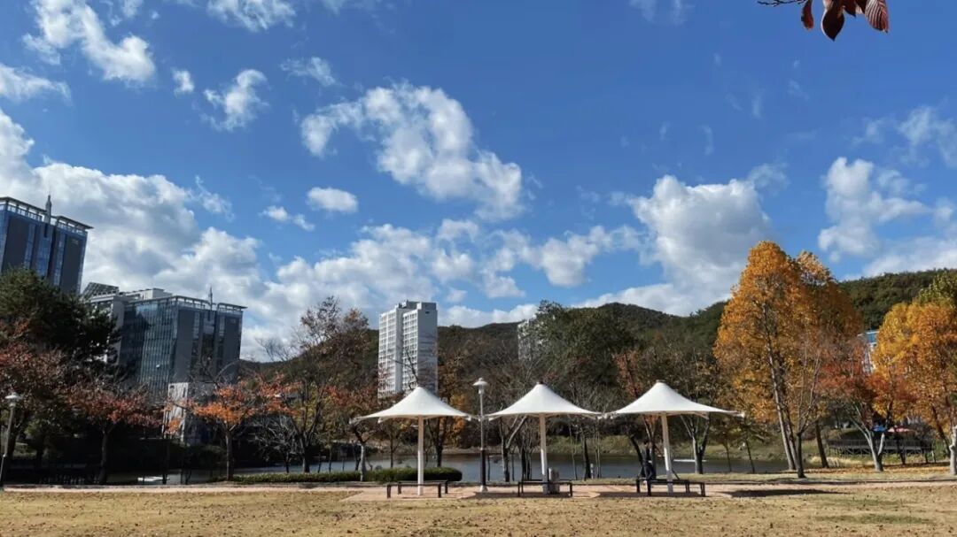 韩国蔚山大学 韩国蔚山大学