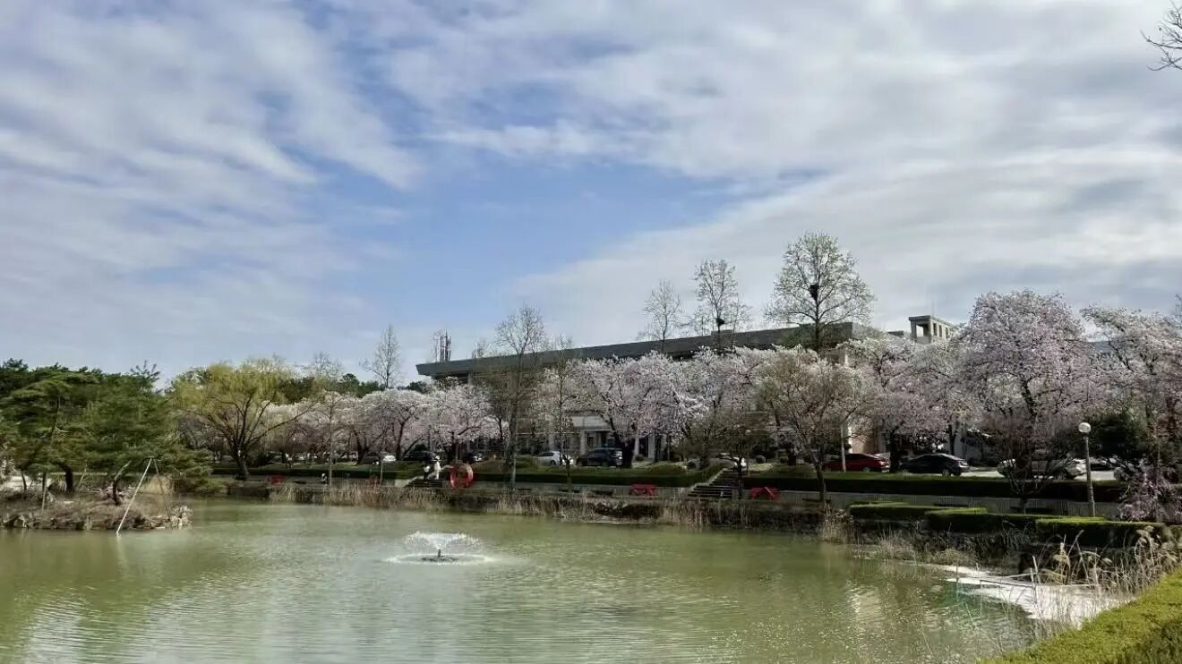 岭南大学 岭南大学