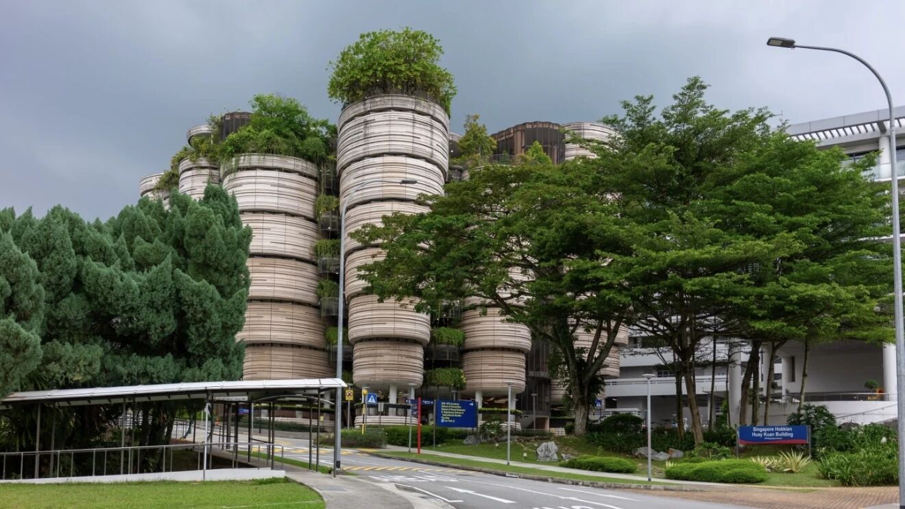 21世纪佳益出国留学