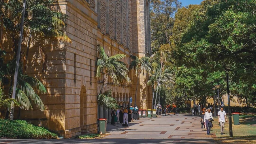 西澳大学 西澳大学