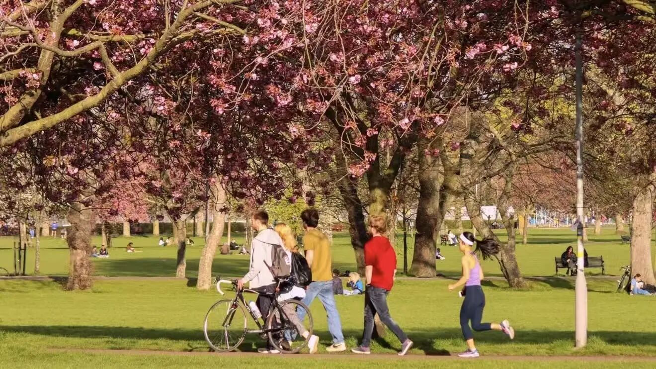爱丁堡大学 爱丁堡大学
