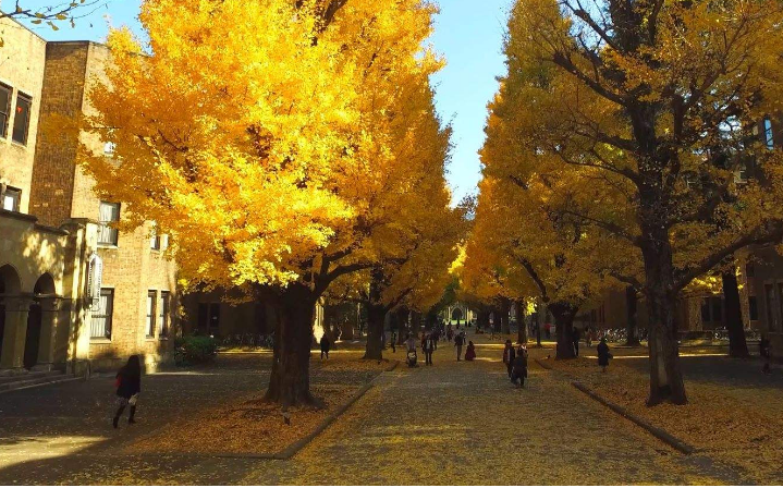 日本留学行李