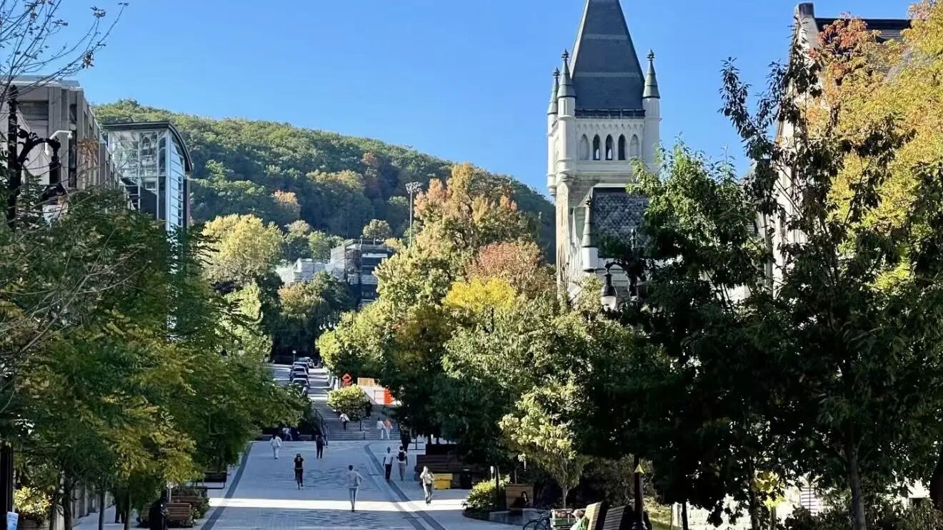 沈阳留学 留学服务 日本留学